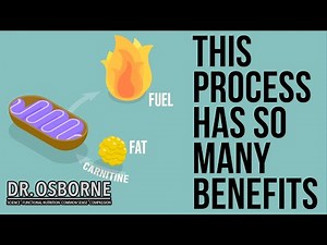 How Your Body Benefits From Carnitine Supplementation