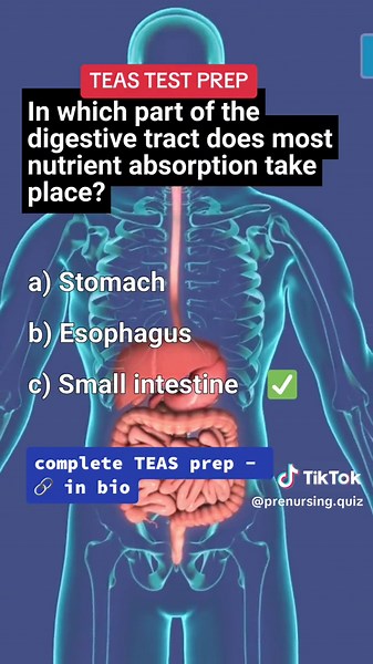 ATI teas prep: science - digestive system. #teasprep #prenursingstudent #atiteas7 #atiteas #teastest #prenursing