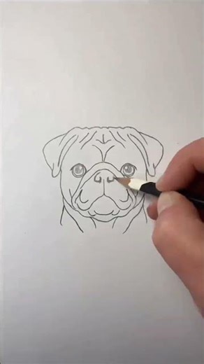 Cute Dog Face Drawing | Easy Pug Drawing | Pencil Sketch Shorts #dogdrawing #pugdrawing #cutedog