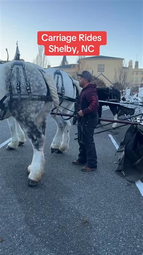 Shelby, NC carriage rides #carriagerides #christmas | Carolina Carriage Company