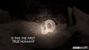 141K views · 1.7K reactions | A mysterious new species could be the earliest humans. | BBC Earth | Facebook
