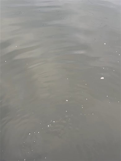 2025 Boatman Vulcan Mini Bait Boat Features and Benefits