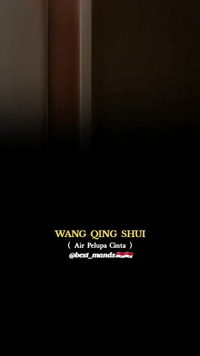 Air Pelupa Cinta - Wang Qing Shui (Andy Lau) Liu De Hua