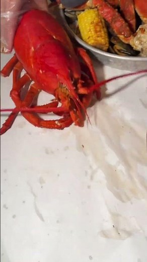29 million views! Massive 7 pounds lobster in vegas at angry crab shack!