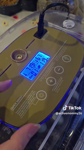 How to Incubate Quail Eggs: A Step-by-Step Guide