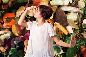 Guide anti-mauvaises odeurs : compostez intelligemment après l'entrée en vigueur de la loi AGEC