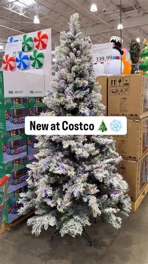 26K views · 243 reactions | New flocked Christmas trees at Costco ❄️ this one is 7.5 ft tall and 1150 micro led lights and it’s gorgeous!! Share this with someone that would love this and follow for more holiday finds at Costco soo excited for Christmas trees at Costco. #costco #christmastree #christmas | Costconewdeals | Facebook
