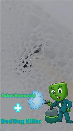 CLO2 Odor Removal in Miami | Bed Bugs Exterminators in Miami by Keep It Clean Carpets and Tile!