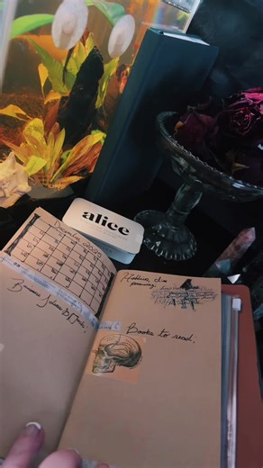 Today is a vibe. Don’t worry I just put in root tabs in Glimmer’s aquarium. I’m going to be going in to get a pothos to fix at the top as well as some more grass so the shrimp have more places to hide. She seems to not even bother with them and I counted 7 this morning (there “should” be 11 in there hiding). #journals #hobbies #tiktokshopblackfriday #betta #ghostshrimp