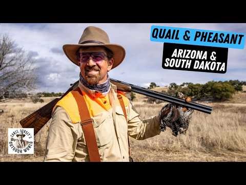 Stunning Upland Hunting in the West - Mearns, Scaled & Gambels Quail in AZ & South Dakota Pheasants
