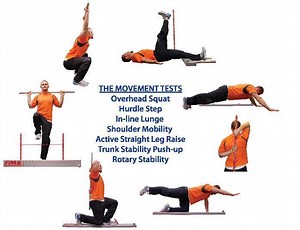 Functional movement - Alchetron, The Free Social Encyclopedia