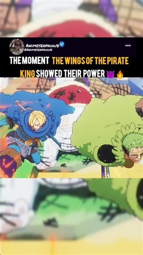 ZORO & SANJI SAVE THE CREW