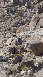 @wolff_racing just laid down a heater at 1:50.76 🔥 Sitting on Radflo Shocks at all four corners, the car looks planted, composed, and more than ready for race day. Good luck out there! #radfloshocks #offroad #offroad #offroading #kingofthehammers | Radflo Shocks