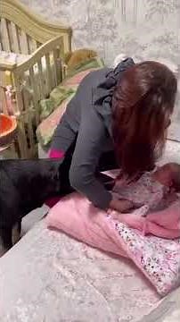 Curious Puppy & Cat Meet Newborn Baby for First Time! 👶🐶😻