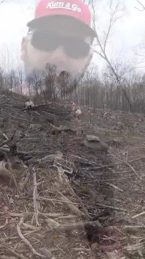 33K views · 423 reactions | Fast Growing Tree Hack #hacks #forests #farm | Stoney Ridge Farmer | Facebook