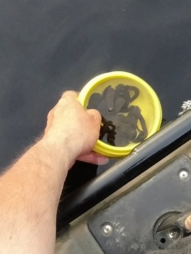 Efective fishing bait also kayak fishing #fishingtips #foryou #walleyefishing #michigan #bassfishing #lakefishing #bestfishingbait #walleye #fishinglife