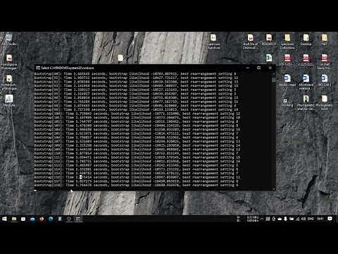 #6 - Maximum Likelihood Analysis using RAxML - Part 2 (windows)