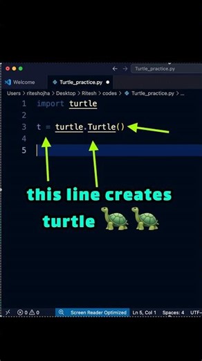 Python Turtle Level 1: Drawing My First Square! 🐢🎨 #coding #python #pythonturtle