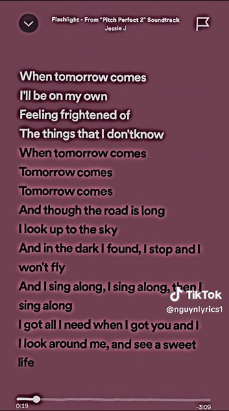 Sing Along with Flashlight Karaoke Lyrics