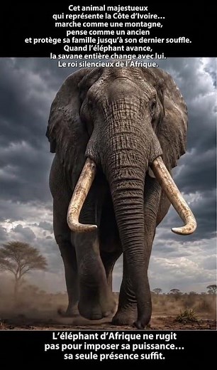 L’animal Le Plus Majestueux d’Afrique