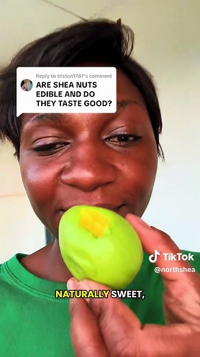 Understanding Shea Fruit and Shea Butter