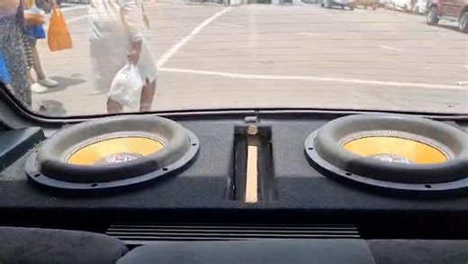 Ice Power Beast 12" Sub Competition Series | ICE POWER