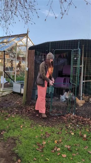 Chickens and Coops: A Fun Look at Cleaning Up