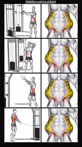 384K views · 4.2K reactions | ✅ Cable Oblique Workout ① Twist ② Side Bend ③ Up Down Twist ④ Standing Lift 3 sets 15-20 reps #fitness #gym #exercise #workout #workoutroutine #exercisetips #fitnesstips #bodybuilding #abs #absworkout | Fitnesslabo | Facebook