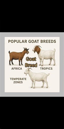 different goat breeds