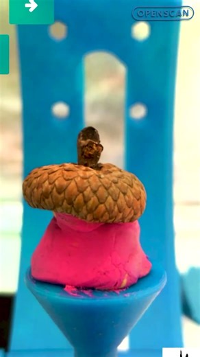 OpenScan Mini - 🍁Acorn Cup natural Specimen #3dscanning #photogrammetry