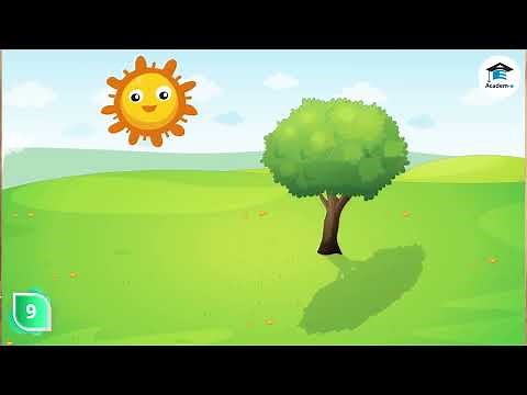 SCIENCE02L27: Behavior of Light