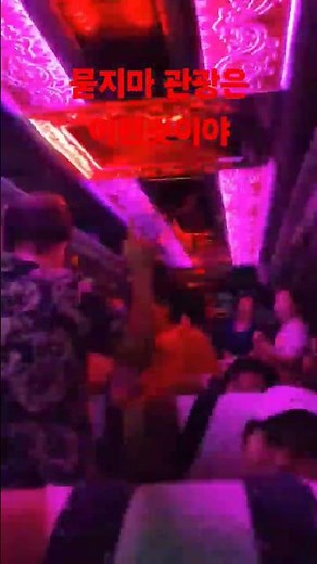 무아지경 묻지마관광