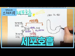 너무 중요한 '세포호흡' 8분 요약✍🏻 | 생명과학 1 기초개념 | #박소현의생명과학