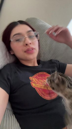 Adorable Baby Cat That Loves to Cuddle