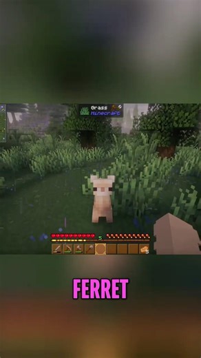 Taming a Ferret in Modded Minecraft! #shorts