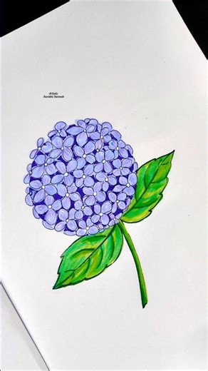 How to Draw Hydrangea flower step by step #art #easyart #hydrangea #flowers #drawing #youtubeshorts