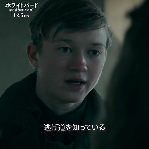 映画『ホワイトバード はじまりのワンダー』Only Hope Story編