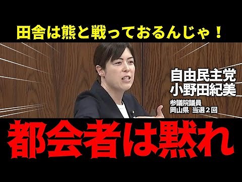 [LDP, Onoda Norimi] City folk who don't fight bears or wild boars shouldn't complain! [House of C...