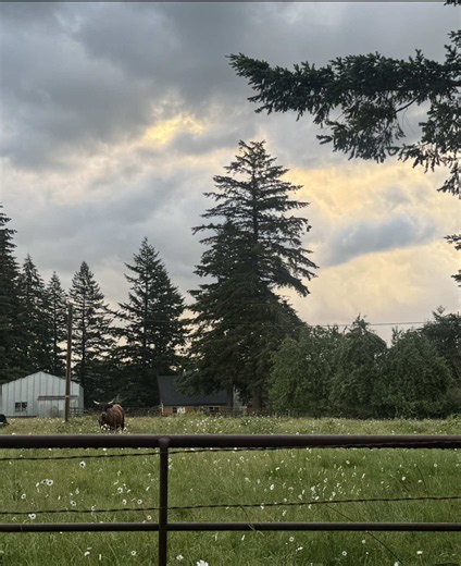 Pacific Northwest Golden Hour Drive: Cozy Home Views