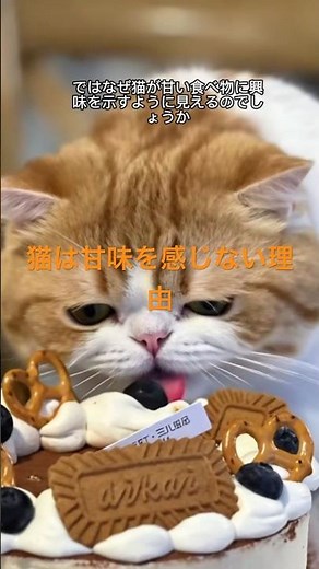 The scientific reason why cats can't taste sweetness: An explanation based on genes and instincts...