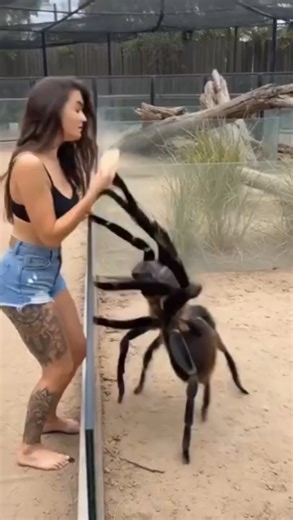 Superpowered creature - সুপার পাওয়ার ওয়ালা প্রাণী 😳 #short #shorts #youtubeshorts #nuralomOfficial