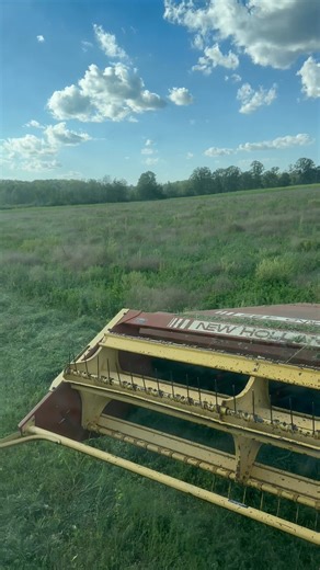 Throwback to last year. First cutting on new seeding. #a2a2dairycows #dairyfarming #farmlife #farmwife #alfalfa #hay #cowchow #summer #nature #peaceful #firsttimeforeverything | Rich Prairie Farms