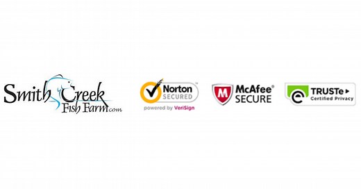 Walleye for Sale | Live Freshwater Pond Fish | Smith Creek Fish Farm