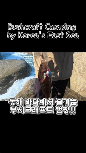 동해 바다에서 즐기는 부시크래프트 🌊🔥 #Shorts