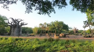 92K views · 2.1K reactions | There’s no better way to celebrate #EarthDay2022 than enjoying views of the Kilimanjaro Safaris savanna at Disney’s Animal Kingdom Theme Park! From majestic African elephants to playful Nigerian dwarf goats, here is glimpse at some of the magnificent animals that call Harambe Wildlife Reserve home. | Walt Disney World | Facebook