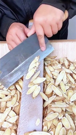 Expert Herbal Slicing: Precision Cutting Traditional Chinese Medicine Roots