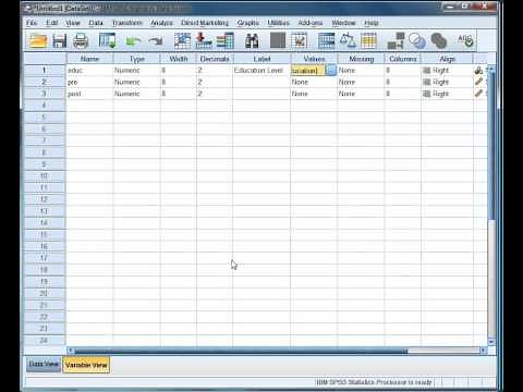 [SPSS] Assigning values and labels to variables