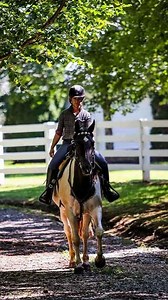 21 reactions | Gorgeous 397± acre recreational farm located in Georgia’s northeast mountains. Only one hour from Atlanta. Updated historical main home. Immaculate improvements including horse stable with living space. Strong equestrian and wildlife components. Great balance of open land and mature woods. Gently rolling topography. Four-acre lake. https://hallhall.com/property-for-sale/georgia/tolemac-farm/a091Y00001wYiK2/ | Hall and Hall | Facebook