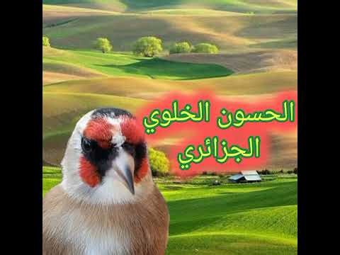 المقنين الخلوي الجزائري