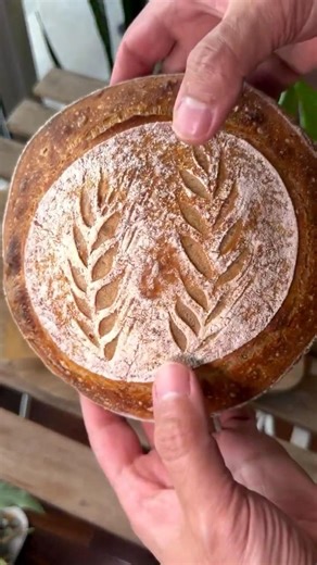 Mini Sourdough Loaves 🍞✨ | Small but Mighty